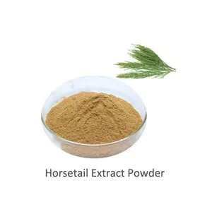 100% الطبيعية العضوية الحقل مستخلص ذيل الحصان Marestail استخراج ذيل الحصان العشب استخراج مسحوق العضوية السيليكا