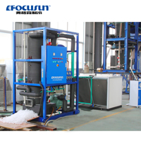 Machine à Glaçons en Tubes Automatique FOCUSUN 10 Tonnes/Jour en Acier Inoxydable avec Tour de Refroidissement par Eau