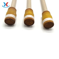 Factory Direct Price Molten Steel Sampler Customize Immersion Metallurgical Analysis Dual Thickness Molten Metal Sampler
