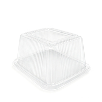 Boîte de germination carrée noire hydroponique pour pousses de haricots, semis d'arachides, herbe pour chat – Fabricant de boîtes thermoformées sous vide
