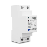 Interruptor inteligente WiFi TOMZN 80A 2P para riel DIN, control remoto por TUYA Smartlife con Alexa y Google Home para el hogar.