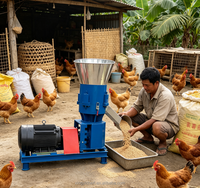 Máquina de Pellets para Alimento Animal Certificada por SGS, Pelletizadora de Alta Eficiencia para Exportación, Calidad para Granjas Avícolas