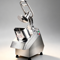 Machine à couper les légumes électrique multifonctionnelle en acier inoxydable, coupe-frites, trancheuse, hachoir