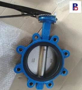 Professional Good Quality Ductile Iron Body PN16 SS304 DI Disc 2Cr13 DN100 Lug Type Butterfly Valve