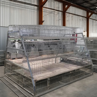 Cages de volaille en gros pour poules pondeuses – Cages galvanisées durables avec accessoires complets pour l'élevage avicole