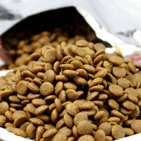 Machine à fabriquer des croquettes pour chiens, ligne de production complète pour la fabrication d'aliments pour chiens