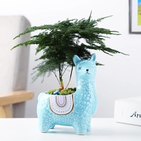 Décoration intérieure personnalité créative belle alpaga en forme de pot de fleurs succulente en céramique meubles de chambre décor pour l'intérieur de la maison