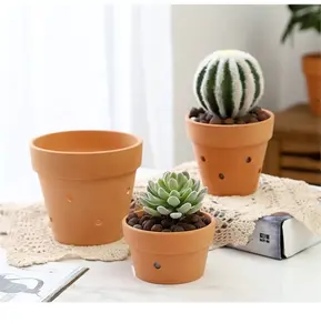 Vasi succulenti in Terracotta non rivestiti vaso di Cactus da giardino in argilla per la decorazione di piante succulente per interni ed esterni