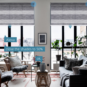 Deyi-cortinas eléctricas inteligentes para decoración del hogar, <span class=keywords><strong>doble</strong></span> capa, transparentes y a rayas, <span class=keywords><strong>con</strong></span> filtro de luz, motorizadas, cebra - Product Image 4