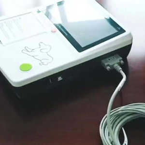 Zon-6032 Hoge Resolutie 7 Inch Hd Touch Screen Veterinair Instrument 3 Kanaals 12 Lood <span class=keywords><strong>Ecg</strong></span> Machine Voor Honden Hoge Resolutie - Product Image 5
