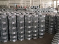Clôture pour bétail et moutons galvanisée de haute qualité à bas prix, longueur 2 m, durable pour utilisation en ranch, vente en gros directe d'usine
