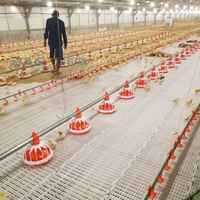 Gobelets automatiques en plastique pour volailles Nouvelles sucettes pour poulets Goutte à goutte pour fermes Abreuvoirs pour animaux essentiels
