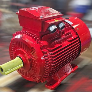 Service OEM Boîtier en fonte IP55 IP56 Moteur à noyau en cuivre Triphasé CA Asynchrone TP-3FCN - Product Image 2