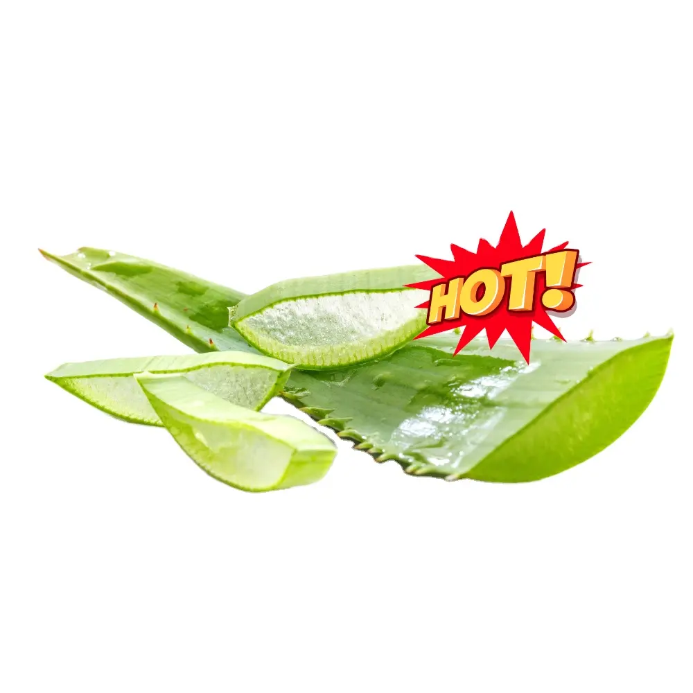 (KIM) ¡MEJOR VENDEDOR! 100% ALOE VERA NATURAL DE VIETNAM DE ALTA CALIDAD CON PRECIO COMPETITIVO/COMPUESTOS DE PLANTAS SALUDABLES