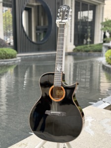 Guitarra acústica Bullfighter D-21 - Product Image 5