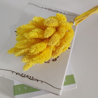 Yunnan gros coloré immortel gemme herbe préservée fleurs et plantes pour Arrangement de fleurs décoration Bouquet faisant