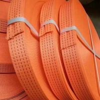 Sangle en polyester de haute qualité 100% pour la fixation de cargaisons 1t 2t 3t 4t 5t 8t 10t