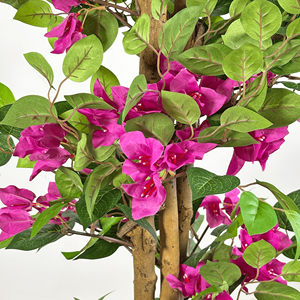 180cm de haut Bougainvillier Artificiel Arbre Faux Soie Bougainvillier Plante avec Pot pour Home Office Patio Balcon Mariage Décor - Product Image 5