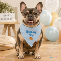 Bandana personnalisé brodé pour chien, avec nom, lavable, pour petits et grands chiens, vente en gros