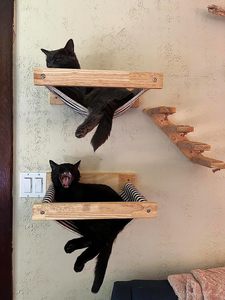 Hamac mural stable en bambou pour chat 2026 – Lits et perchoirs en bois pour chat, meubles muraux pour dormir, jouer et grimper - Product Image 4