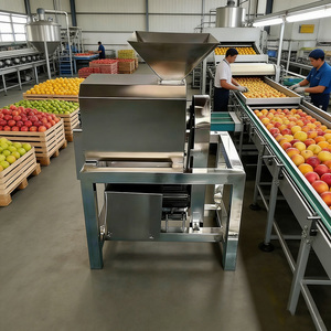 Pulpeadora Industrial de Frutas y Verduras/Máquina de Pulpeo de Frutas SUS 304/Máquina para Hacer Pulpa de Frutas 1500W 300-500kg/hora - Product Image 2