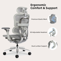 Chaise de bureau ergonomique de direction avec cadre en alliage d'aluminium, accoudoirs réglables en hauteur, design moderne pour importateurs, concessionnaires et fournisseurs