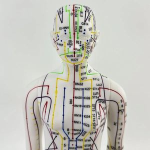 KyrenMed Modèle d'acupuncture féminin hauteur 52cm pour les professionnels PVC femelle avec points méridiens - Product Image 2