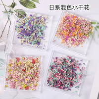 JIASI JS-XGH Mini Boîte d'autocollants pour nail art avec fleurs séchées naturelles 3D colorées mélangées