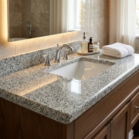 Plan de toilette moderne en granit blanc sésame G602, prix usine, comptoirs de salle de bain étanches et durables avec découpe pour lavabo sous plan
