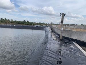 Offre Spéciale 0.5mm 0.75mm Membrane Fish Pond Farm Liner HDPE Geomembrane de qualité pour projet d'aquaculture - Product Image 4