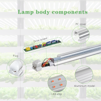 Witte+Rode/Witte+Rode+Blauwe/Vol Spectrum Bloei Groeilamp /1200/1500mm LED Plantenkweekbuislamp met 5 jaar garantie