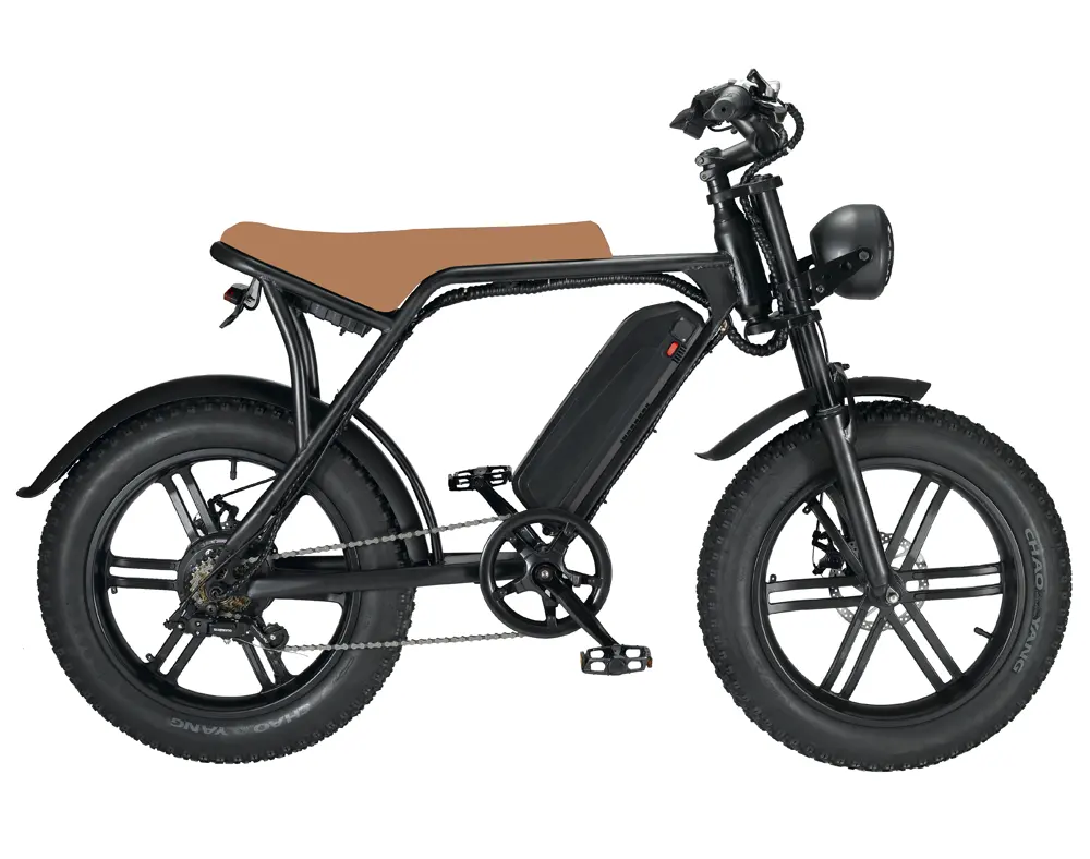 2023 CE ROHS 750w 공장 직접 판매 20 인치 뚱뚱한 유틸리티 재미 전기 자전거 자전거 전기 자전거