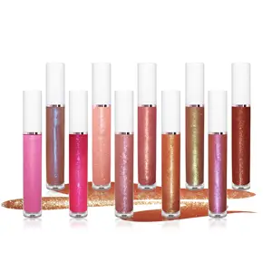 OEM/ODM Lip Gloss Container Lipgloss Base Shiny Custom Logo Lipgloss Private Label Lipsticks 5G Liquid Mineral MSDS Lip Care