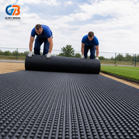 Planche de drainage alvéolée en plastique HDPE robuste et résistante aux perforations pour projets de drainage de podiums, ponts, barrages et jardins, garantie 5 ans