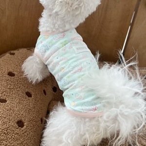 Chaleco de malla transpirable de verano para gatos y perros con diseño de animales acuáticos, con diseños de Bichón Frisé, Teddy Bear y Ragdoll - Product Image 3