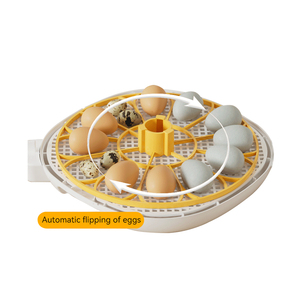 Incubateur de 12 œufs 12V DC 220V AC, petite machine d'éclosion automatisée, incubateur et <span class=keywords><strong>couveuse</strong></span> combinés, Incubadora De Huevos - Product Image 2