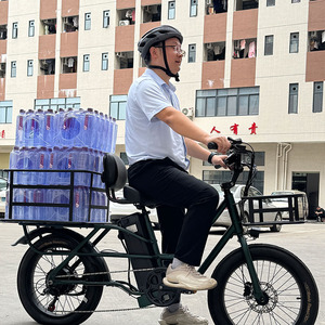 Vélo électrique familial bon marché Vélo <span class=keywords><strong>cargo</strong></span> électrique long thaïlandais Cadre en acier 48V500W Vélo électrique deux-roues - Product Image 6