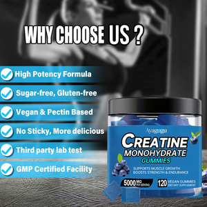 Gummies de créatine monohydrate OEM 5g par portion, force musculaire, performance athlétique, sans OGM, végétalien, sans sucre, complément alimentaire - Product Image 5