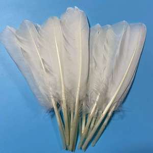 Trắng 6-8 Inch Nhuộm Mô Hình Thủ Công Lông Ngỗng & Vịt Lông Cho Thời Trang Tự Làm Tóc Clip Mặt Nạ Trang Phục Phụ Kiện - Product Image 1