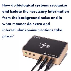 Doktor vücut hücre onarımı ve ek analiz için sağlık analiz cihazı <span class=keywords><strong>9d</strong></span> <span class=keywords><strong>NLS</strong></span> tavsiye - Product Image 6