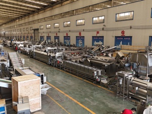 Industrial 100-5000 kg/hora Línea de producción de papas fritas completamente automática Suministro de fábrica Precio atractivo Procesamiento de alimentos - Product Image 6