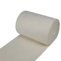 Personnalisable 100% Dacron Nylon PE PP PTFE Coton Tissé Filtre Tissu Rouleau Chine Fournisseur Sélection Hepa Tissu Filtrant