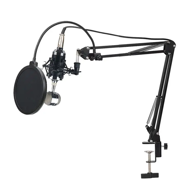 Professional Production Multifunctional Microphone Arm Stand For Radio Studio