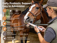 Pâte Probiotique Équine en Gros pour Chevaux – Complément Alimentaire Favorisant l'Équilibre Digestif – Formule Multi-Souches – Applicateur Seringue – OEM