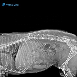 Sistema <span class=keywords><strong>de</strong></span> Radiografía Digital Veterinaria Vetoo DX-VF1, Imágenes Seguras y Rápidas, Baja Dosis <span class=keywords><strong>de</strong></span> Radiación, para Perros/Gatos/Conejos/Mascotas Exóticas, Instantáneo - Product Image 6