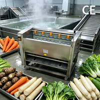 Machine industrielle de lavage et de pelage de pommes de terre, éplucheuse et laveuse de carottes - Prix