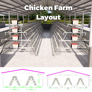 Cage à poules pondeuses de <span class=keywords><strong>type</strong></span> A, en batterie, galvanisée à chaud, pour l'élevage avicole, conception personnalisée pour la ferme - Product Image 5