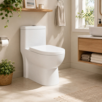 WC monobloc à siphon silencieux pour projets de salle de bain d'appartement, WC en céramique blanche avec finition brillante, système de chasse d'eau silencieux et puissant