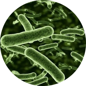 Media budaya konsentrat protein <span class=keywords><strong>bio</strong></span> medium fermentasi untuk ragi mikrobiologi - Product Image 2