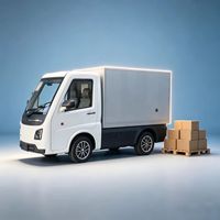 Fourgonnette électrique Runhorse EEC L7e, mini-camion de fret compact, autonomie de 201 à 300 km, moteur de 50 kW, certifié EEC COC pour les marchandises légères